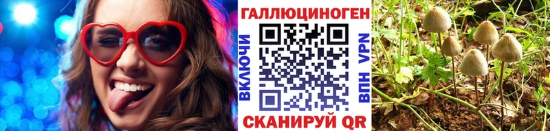 Псилоцибиновые грибы прущие грибы Приморско-Ахтарск